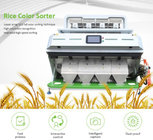 China Rice Color Sorter High quality CCD Rice Color Sorter Optical Rice Sorting Machine supplier