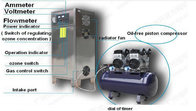 10g electrolytic water ozone generator for swimming pool water sanitizer