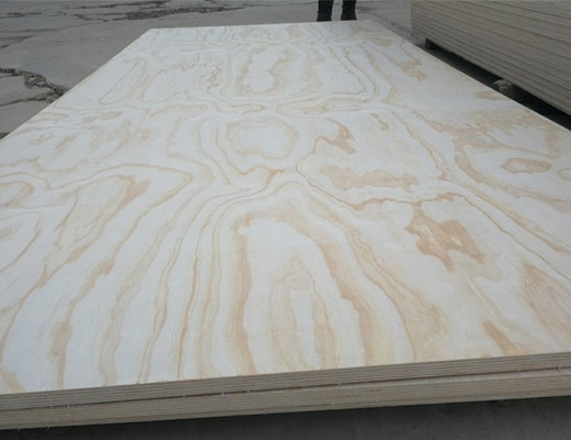 China plywood pine fancy plywood 18mm from SHOUGUANG QIHANG INTERNATIONAL TRADE CO.,LTD supplier