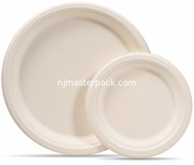 China China manufacturer High quality Eco-friendly Bagasse sugarcane plates supplier