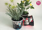 Custom Blue Design Keep Calm Flower Paper Bowl For Water Plant supplier