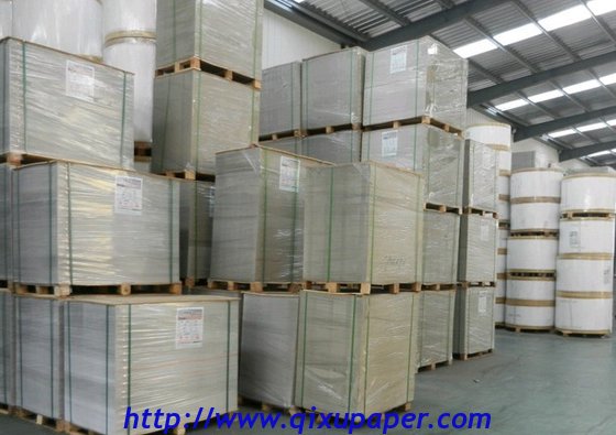 Wholesale Duplex board Grey White back papers Sheets Reels manufacturer in china