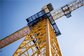 Self Erecting Hammer Head Tower Crane 10 ton 65 m Boom Building supplier