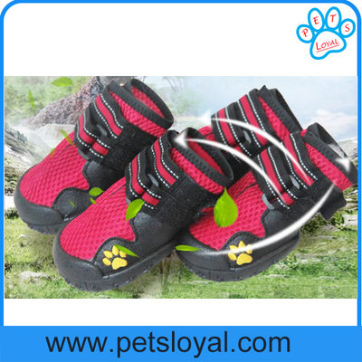 China Manufacturer Pet Supply Product Luxury Summer Cool Pet Dog Shoes China Factory supplier
