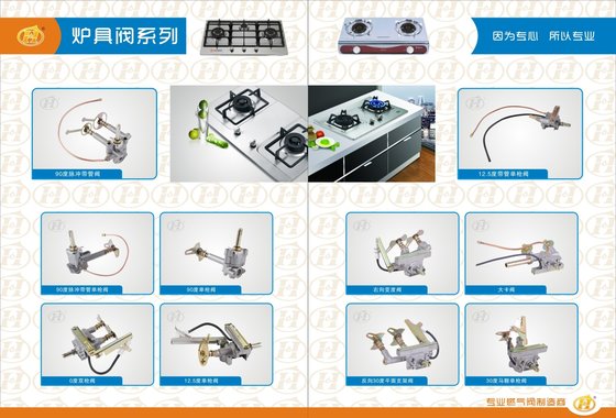SPARE PARTS ;gas valve and BBQ VALVE