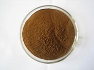 100% Natural Black Cohosh Plant Extract/Black Cohosh Root Extract/Black Cohosh Powder