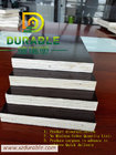 BROWN FILM FACED PLYWOOD 1220*2440*12MM MR Glue Poplar Core From China Suppliers