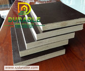 Waterproof plywood / black film faced  formwork plywood for construction concrete formwork