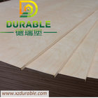 high quality Cheap Price white birch plywood standard size  1220X2440X3MM	D/E	Grade E2 glue Poplar Plywood