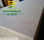 Cheap Price Solid 3MM bb /cc grade E2 glue  red okoume plywood For Furniture and Yatch use