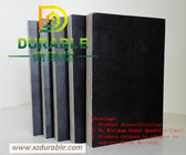 12mm shuttering construction concrete formwork plywood / phenolic black film faced Plywood