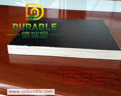 China  Brown film faced plywood, 1220x2440x18mm(PLYWOOD MANUFACTURER) From Xuzhou Durable Company