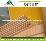 Yellow Film Faced Plywood,Plywood Made in China,Linyi Plywood
