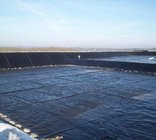 HDPE/LDPE/LLDPE/ECB 2 mm black high quality Geomembrane for lake liners