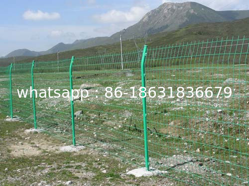Wire Mesh Fence factory