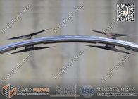 CBT-65 O.D450mm Galvanised Single Coil Concertina Razor Wire | Anping Razor Wire Factory