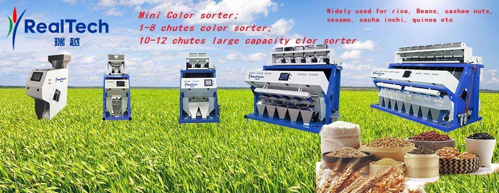 China best Rice Color Sorter on sales