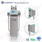 2017 new effective Pulse Cryolipolysis Fat Freeze Slimming Machine Radio Frequency