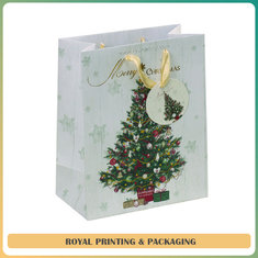 cheap and high quality customize colorful paper bag printing