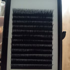 Factory wholesale double layer 0.07thickness,8-15mm,C curl eyelash extension