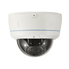China Brand New Private Mode High Definition H.264 1080P IP Camera Big Dome IR Cut Night Vision supplier
