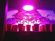 apollo 6 hydroponics greenhouse apollo led grow lights