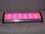 Cidly Advanced programmable 250W LED Grow Lights white blue red spectrum ratio