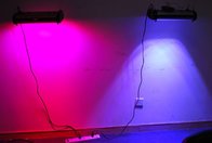 Cidly diming and timing Full Spectrum 300W Hydroponic LED Plant Grow Light Panel Veg Flowe