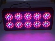 Apollo 10 Rocket bottom price greenhouse growing lights for indoor and hydroponics