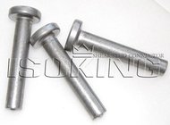 Offer M19*100, M19*120 Shear Stud with CE for prefabricated steel building