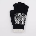 2017 Snow Flake Winter Warm Special Men Teenagers Black Magic Touch Screen Gloves