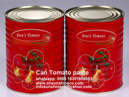Manufacturer of tin can Tomato paste/Chinese tomato paste/xinjiang tomato paste in can