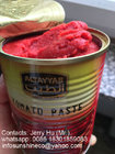 Chinese Canned Tomato paste