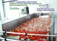 Surf Bubbling Washing Machine/Fruit Washing Machine/Fruit Washer