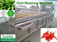 Chili Washing Machine/Chili Washer/Chili Process 304 stainless steel in wooden case