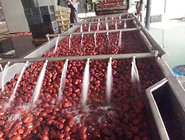 20 tons per hour tomato paste processing plant/tomato paste machine/tomato paste factory/ tomato paste production line