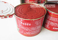 Good quality 2200g canned TOMATO PASTE from Xinjiang China