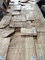 Olive Ash Burl Natural Wood Veneer for Panel Door and Furniture Industry from www.shunfang-veneer-com.ecer.com supplier