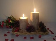 3X4"3X6" inch 100% natural bark decor candle with  growth ring