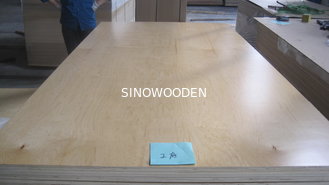 China UV2 Birch F/B Poplar Plywood supplier