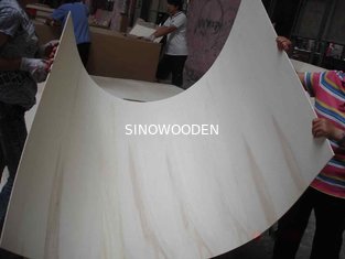 China Poplar Platform/poplar plywood supplier