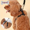 Vest puppies chest harness, fashion bow pet chest back, Teddy bear walking leash；Pet clothes customization, supplier