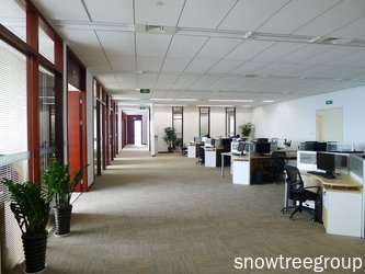 snowtree office