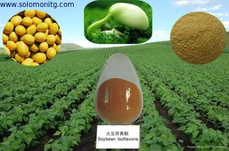 100% Natural 40% Isoflavones Fine Powder Soybean Extract --Glycine max (L.) Merri