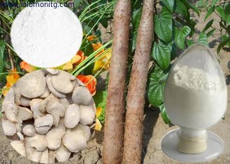 Pure Yam Flour Extract contains Diosgenin -Dioscorea opposita Thunb.