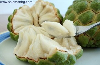 China Anti-cancer high quality 100% pure soursop extract-Annona Muricata L. supplier