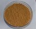 cinnamon bark extract Polyphenol 10:1 Cinnamomum cassia Presl.--free sample