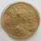 Pure Natural Semen Moschatae Powder-- pumpkin seed extract --Cucurbita moschata Duch.