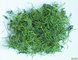 80% Gypenoside UV Yellowish Powder Gynostemma Pentaphyllum Stem and Leaf Extract