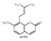 China wholesale osthole extract / cnidium monnieri extract-- Cnidium Monnieri (L.) Cuss